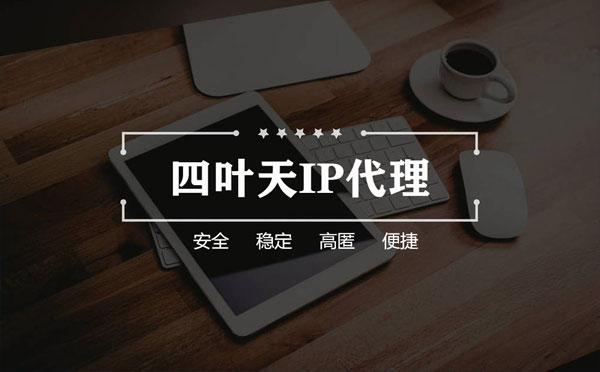 【项城代理IP】如何快速搭建代理IP？怎么检查代理的效果？